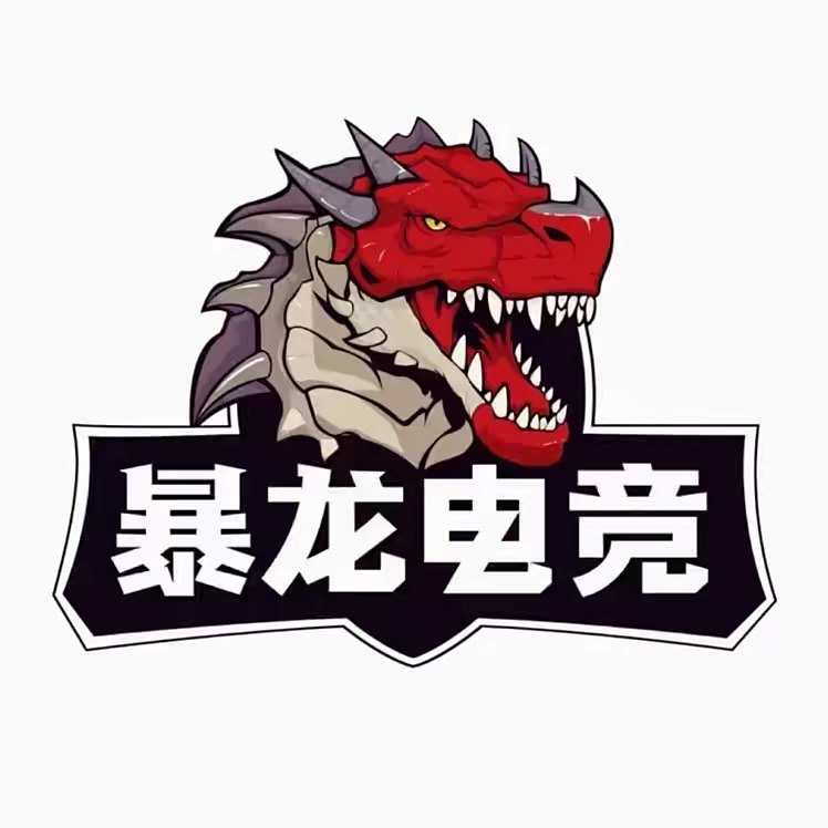 向经理电竞